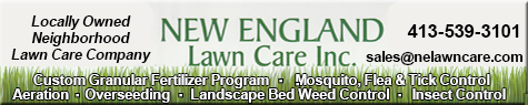 lawn care services, professional lawn treatment, customized fertilizer programs, mosquito control, flea and tick prevention, weed control services, landscape bed maintenance, lawn disease treatment, aeration and overseeding, tree and shrub care, lawn renovation, grub control, pelletized lime, crabgrass control, nutsedge removal, fast lawn care service, local lawn care experts, seasonal lawn treatments, eco-friendly lawn care, healthy green lawn, weed and pest control, best lawn care near me, lawn fertilization specialists, thick and lush grass, residential and commercial lawn care, year-round lawn maintenance